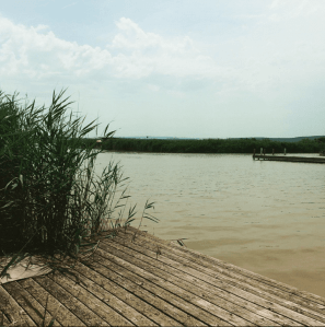 Bildschirmfoto 2017-06-17 um 11.19.39