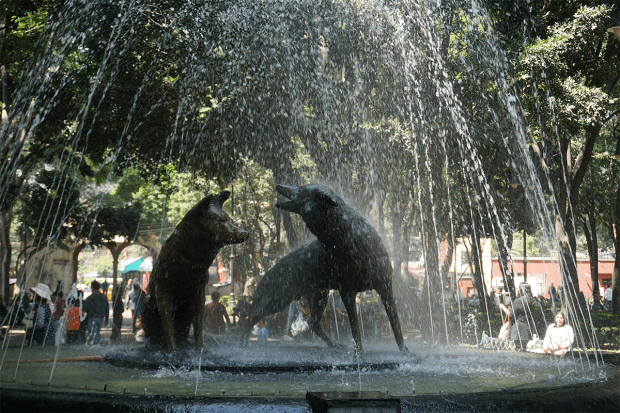 Coyoacan